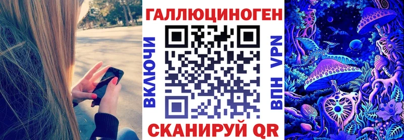 наркотики  Шиханы  Псилоцибиновые грибы Psilocybine cubensis 